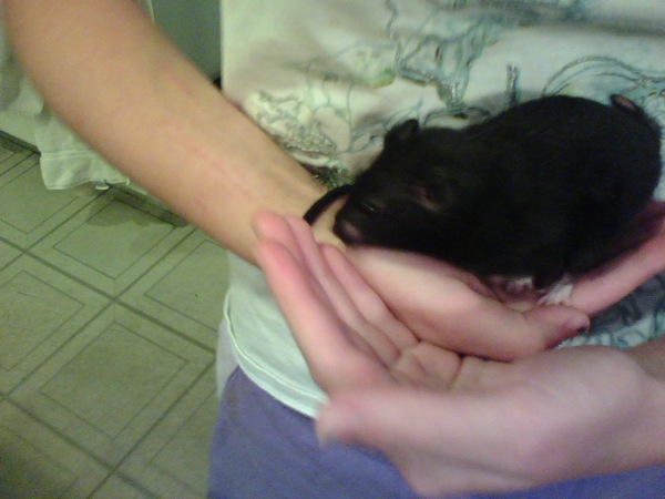 Me holding shadow